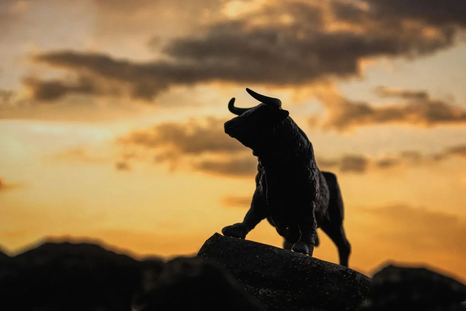 Copy Trading Risks: Evaluating Retail Market Influence